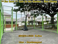 Life in the garden, Ban Chang *** House for Rent ***-202506170956551750129015385.jpg
