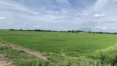 ขายที่ดินสวย 40 ไร่ อ.เสนา จ.พระนครศรีอยุธยา-202506171035511750131351711.jpg