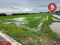 ขายที่ดินเปล่า-เนื้อที่-3-ไร่-บางคูว