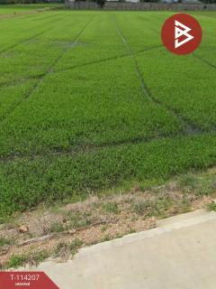 ขายที่ดินเปล่า เนื้อที่ 3 ไร่ บางคูวัด ปทุมธานี ทำเลดี ใกล้แหล่งชุมชน-202506171107461750133266437.jpg