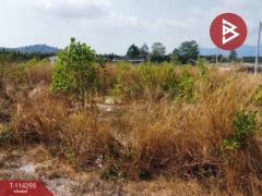 ขายที่ดิน เนื้อที่ 1 ไร่ ท่าช้าง จันทบุรี-202506171259241750139964273.jpg