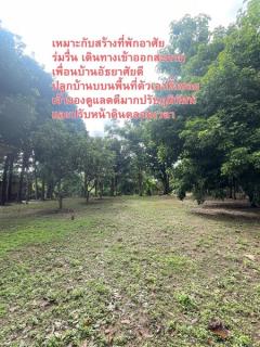 ขายที่ดิน อ.เมืองเชียงใหม่ ติดริมแม่น้ำคาว เนื้อที่ 300 ตรว.-202506171333031750141983336.jpg