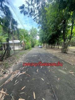 ขายที่ดิน อ.เมืองเชียงใหม่ ติดริมแม่น้ำคาว เนื้อที่ 300 ตรว.-202506171333051750141985407.jpg