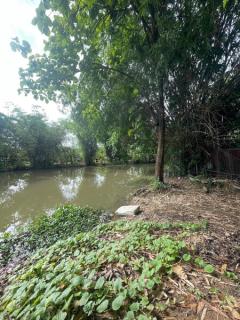ขายที่ดิน อ.เมืองเชียงใหม่ ติดริมแม่น้ำคาว เนื้อที่ 300 ตรว.-202506171333051750141985917.jpg