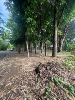 ขายที่ดิน อ.เมืองเชียงใหม่ ติดริมแม่น้ำคาว เนื้อที่ 300 ตรว.-202506171333071750141987484.jpg