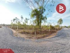 ขายที่ดิน เนื้อที่ 2 ไร่ โพธิ์ชัย หนองบัวลำภู-202506171623521750152232979.jpg