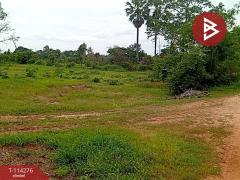 ขายที่ดิน เนื้อที่ 26 ไร่ 2 งาน 64 ตร.วา บำเหน็จณรงค์-202506171639441750153184502.jpg