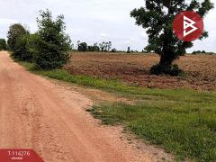 ขายที่ดิน เนื้อที่ 26 ไร่ 2 งาน 64 ตร.วา บำเหน็จณรงค์-202506171639481750153188182.jpg
