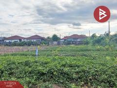 ขายที่ดิน เนื้อที่ 1 ไร่ 2 งาน บางบัวทอง นนทบุรี-202506171651161750153876545.jpg