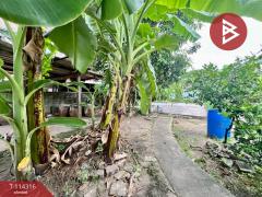 ขายที่ดิน เนื้อที่ 57 ตร.วา ปากน้ำ สมุทรปราการ-202506171656501750154210707.jpg