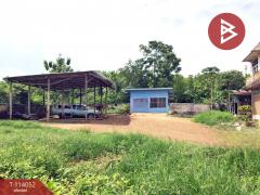 ขายบ้านเดี่ยวพร้อมที่ดิน เนื้อที่ 3 ไร่ 34.8 ตร.วา ท่าเสา อุตรดิตถ์-202506172306051750176365000.jpg