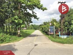 ขายบ้านเดี่ยวพร้อมที่ดิน เนื้อที่ 3 ไร่ 34.8 ตร.วา ท่าเสา อุตรดิตถ์-202506172306081750176368956.jpg
