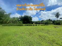 ขายที่ดินผืนใหญ่ 4 ไร่ 67 ตรว. อ.ดอยสะเก็ด จ.เชียงใหม่-202506180912381750212758611.jpg