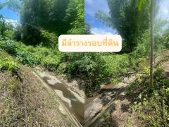 ขายที่ดินผืนใหญ่ 4 ไร่ 67 ตรว. อ.ดอยสะเก็ด จ.เชียงใหม่-202506180912391750212759771.jpg