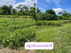 ขายที่ดินผืนใหญ่ 4 ไร่ 67 ตรว. อ.ดอยสะเก็ด จ.เชียงใหม่-202506180912401750212760364.jpg