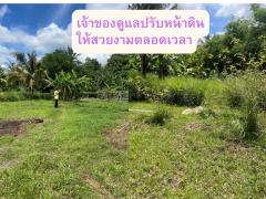 ขายที่ดินผืนใหญ่ 4 ไร่ 67 ตรว. อ.ดอยสะเก็ด จ.เชียงใหม่-202506180912401750212760948.jpg