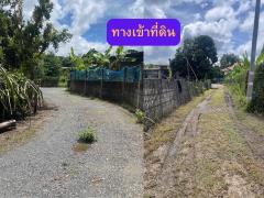 ขายที่ดินผืนใหญ่ 4 ไร่ 67 ตรว. อ.ดอยสะเก็ด จ.เชียงใหม่-202506180912421750212762726.jpg