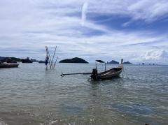 ขายที่ดินติดถนนทำเลดี ตำบลหนองทะเล อำเภอเมืองกระบี่ จังหวัดกระบี่ เหลือเพียง320,000,000บาท (80,000.-/ตารางวา) เท่านั้น-202506180950121750215012862.jpg