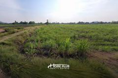 ที่ดินติดหมวดทางหลวงพนมทวนสาขาพนมทวน กาญจนบุรี เนื้อที่ 6 ไร่ 2 งาน 75 ตารางวา-202506181028121750217292355.jpg