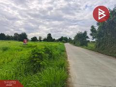 ขายที่ดิน เนื้อที่ 4 ไร่ 3 งาน 79 ตร.วา พานทอง ชลบุรี-202506181040311750218031087.jpg