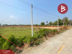 ขายที่ดิน-เนื้อที่-4-ไร่-3-งาน-50.1-ตร.วา-พ