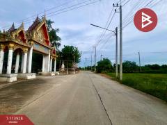 ขายที่ดิน เนื้อที่ 4 ไร่ 3 งาน 50.1 ตร.วา พนัสนิคม ชลบุรี-202506181042321750218152889.jpg
