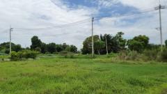 ขายที่ดินเปล่า 368.4 ตร.วา ต.โคกแฝด อ.หนองจอก จ.กรุงเทพฯ-202506181053371750218817305.jpg