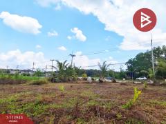 ขายที่ดิน เนื้อที่ 3 ไร่ 1 งาน 58.5 ตร.วา ถนนตากสินจันทบุรี-202506181142431750221763141.jpg