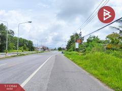 ขายที่ดิน เนื้อที่ 3 ไร่ 1 งาน 58.5 ตร.วา ถนนตากสินจันทบุรี-202506181142441750221764808.jpg