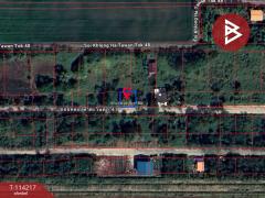 ขายที่ดิน เนื้อที่ 60 ตารางวา คลองหลวง ปทุมธานี-202506181144091750221849854.jpg
