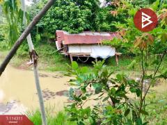 ขายที่ดิน เนื้อที่ 2 งาน 17.2 ตร.วา ท่าบ่อ หนองคาย-202506181211361750223496573.jpg