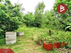 ขายที่ดิน เนื้อที่ 2 งาน 17.2 ตร.วา ท่าบ่อ หนองคาย-202506181211371750223497706.jpg