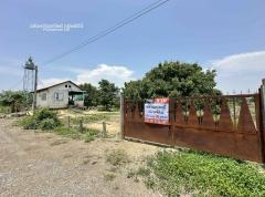 ขายที่ดิน 5 แปลง ต.บ้านแป้น อ.เมืองลำพูน จ.ลำพูน #LB268 – 001028-202506181245241750225524501.jpg