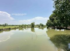 ขายที่ดิน 5 แปลง ต.บ้านแป้น อ.เมืองลำพูน จ.ลำพูน #LB268 – 001028-202506181245291750225529303.jpg