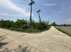 ขายที่ดิน 5 แปลง ต.บ้านแป้น อ.เมืองลำพูน จ.ลำพูน #LB268 – 001028-202506181245291750225529876.jpg