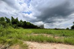 ขายที่ดินสวย ฉลองกรุงการ์เด้น ซอยวัดอู่ตะเภา ตรงข้าม FBT ฉลองกรุง (N.1753)