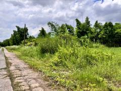 ขายที่ดินสวย ฉลองกรุงการ์เด้น ซอยวัดอู่ตะเภา ตรงข้าม FBT ฉลองกรุง (N.1753)-202506181326511750228011100.jpg