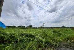 ขายที่ดินสวย ฉลองกรุงการ์เด้น ซอยวัดอู่ตะเภา ตรงข้าม FBT ฉลองกรุง (N.1754)-202506181346341750229194420.jpg