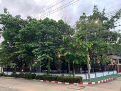 ขายบ้านเดี่ยว 2 ชั้น รวมเฟอร์นิเจอร์ หมู่บ้านราชพฤกษ์ วงแหวน-บางบอน 4 เงียบสงบ 5 ห้องนอน 4 ห้องนํ้า โทร 0865402132-202506181354551750229695086.jpg