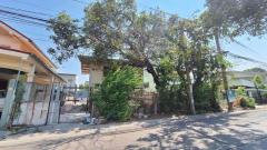 ขายที่ดินเปล่า หมู่บ้านนักกีฬาแหลมทอง ถ.กรุงเทพกรีฑา ใกล้โรงเรียนศรีพฤฒา (N.987)-202506181440061750232406809.jpg