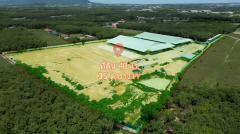 ขายที่ดินพร้อมสิ่งปลูกสร้างพื้นที่โฉนดทั้งหมด 4 แปลงรวมพื้นที่​  40 ไร่ 35 ตารางวา  Free zoneมีใบรง.4ใบอนุญาต105 