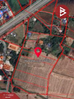 ขายที่ดินเปล่า เนื้อที่ 2 ไร่ หนองแค สระบุรี-202506181536441750235804428.jpg