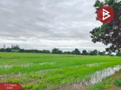 ขายที่ดิน เนื้อที่ 13 ไร่ 32 ตร.วา สามชุก สุพรรณบุรี-202506181620021750238402729.jpg