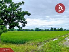 ขายที่ดิน เนื้อที่ 13 ไร่ 32 ตร.วา สามชุก สุพรรณบุรี-202506181620051750238405585.jpg