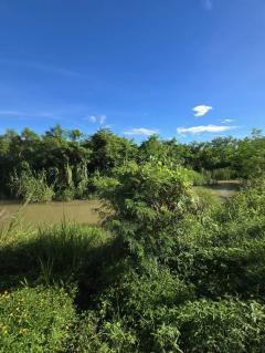 ขายที่ดิน ประจวบ สามร้อยยอด ติดถนนติดคลอง-202506181749161750243756784.jpg