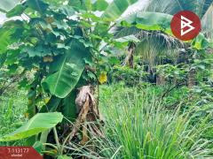 ขายที่ดิน เนื้อที่ 3 งาน 32.4 ตร.วา บ้านไร่ อุทัยธานี-202506191047511750304871545.jpg