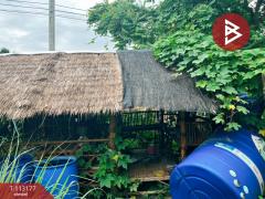 ขายที่ดิน เนื้อที่ 3 งาน 32.4 ตร.วา บ้านไร่ อุทัยธานี-202506191047521750304872680.jpg