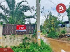 ขายที่ดิน เนื้อที่ 3 งาน 32.4 ตร.วา บ้านไร่ อุทัยธานี-202506191047541750304874508.jpg