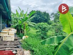 ขายที่ดิน เนื้อที่ 3 งาน 32.4 ตร.วา บ้านไร่ อุทัยธานี-202506191047551750304875633.jpg