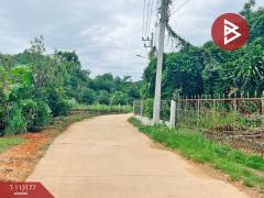 ขายที่ดิน เนื้อที่ 3 งาน 32.4 ตร.วา บ้านไร่ อุทัยธานี-202506191047561750304876198.jpg